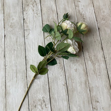 Load image into Gallery viewer, White English Rose Stem - 70cm
