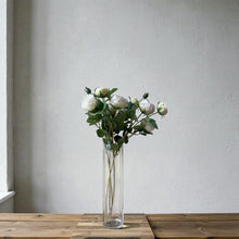 Load image into Gallery viewer, White English Rose Stem - 70cm
