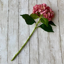 Load image into Gallery viewer, Field &amp; Rose pink artificial hydrangea stem, 53cm, with green silk leaves and realistic detailing.
