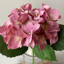 Load image into Gallery viewer, Field &amp; Rose pink artificial silk hydrangea stem, 53cm, with green leaves.
