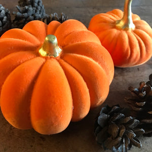 Set of 2 velvet Pumpkins - Field & Rose