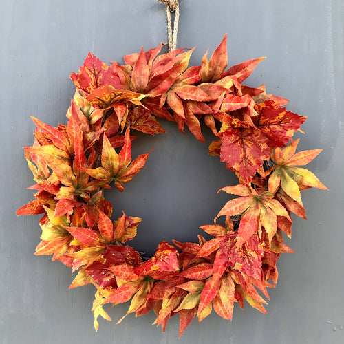 A stunning celebration of Autumn's changing colours, the vibrant Autumn Maples Leaves wreath brings together the beauty of Liquid Amber maple leaves, so rich and colourful. Jute twine to hang.